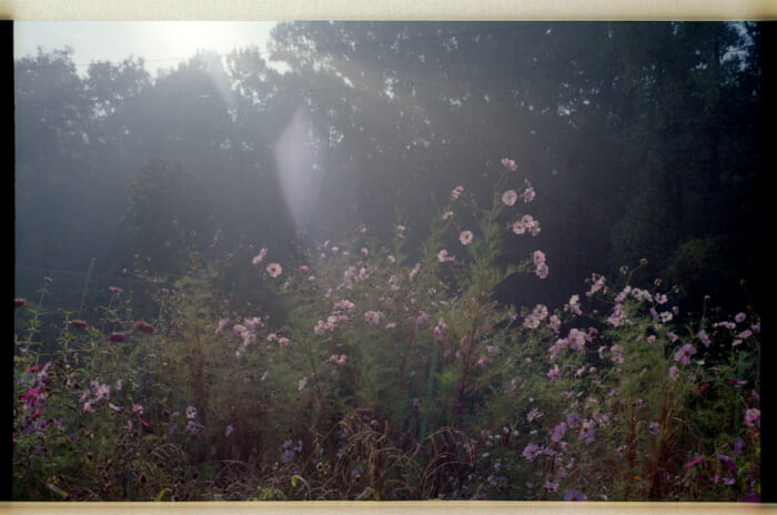 テーマは“花”。鈴木親とソウルの2人の写真家によるグループ展のSEOUL FLOWEERSが、フロットサムブックスで本日から。