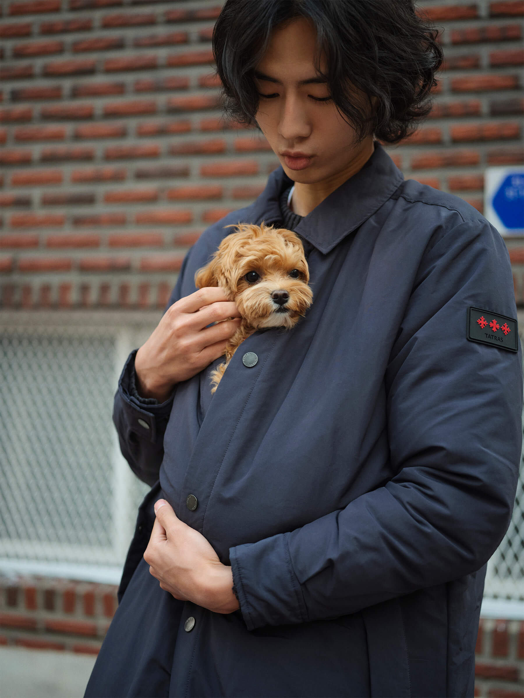 How Do Young Koreans Wear Turtles' Down Wear? | feature | HOUYHNHNM ...