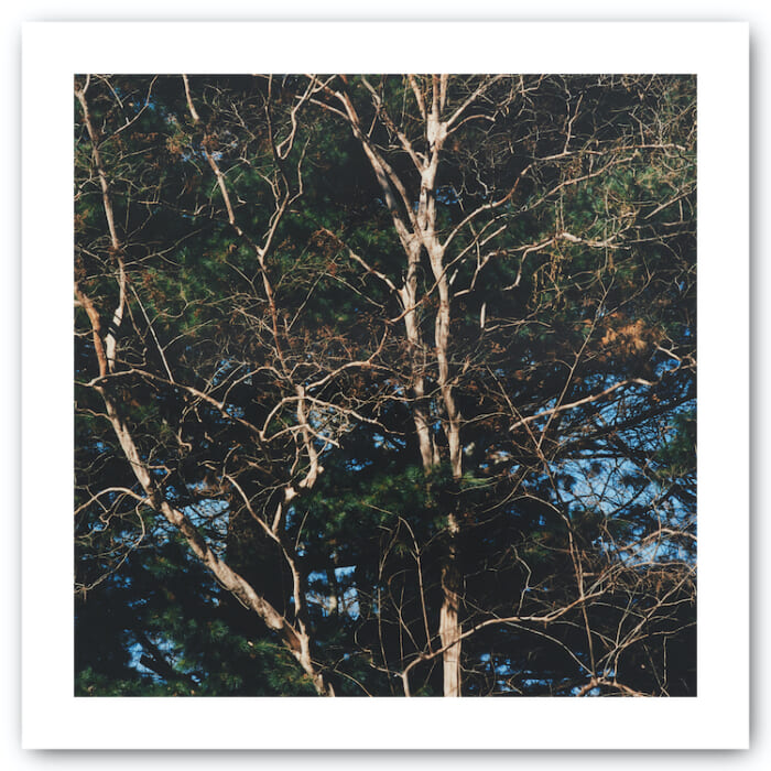 都市の自然を記録した写真展が、ナナミカ マウンテンで開催中。これを記念した限定アイテムも登場します。