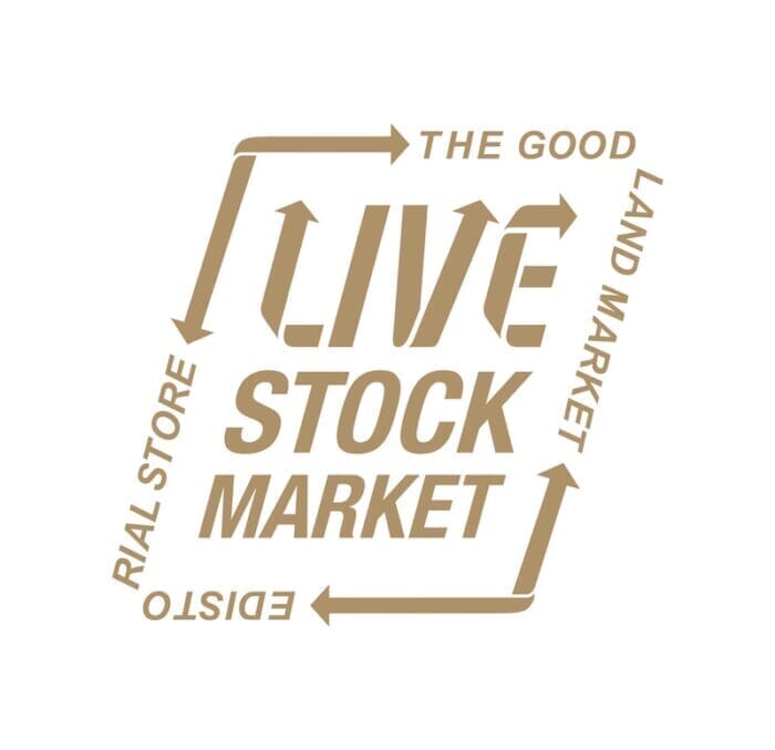 A traveling version of the Editoreal Store! You can experience items that meet Mr. Hiroshi Ozawa's eye for quality outside of Ueda.