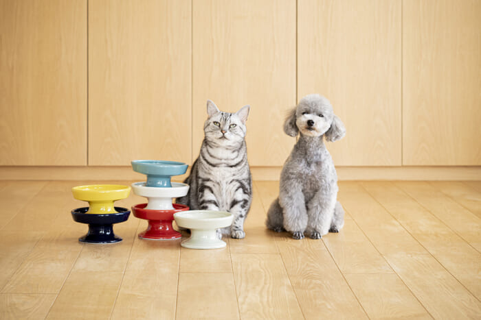 Careful living for your pets. Porcelain snack canisters are now available from MARUHIRO.