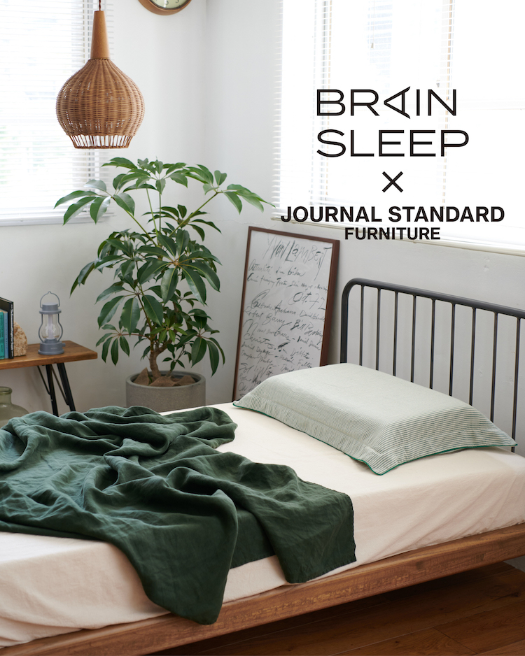 BRAIN SLEEP ブレインスリープ　スタンダード　枕　ピロー