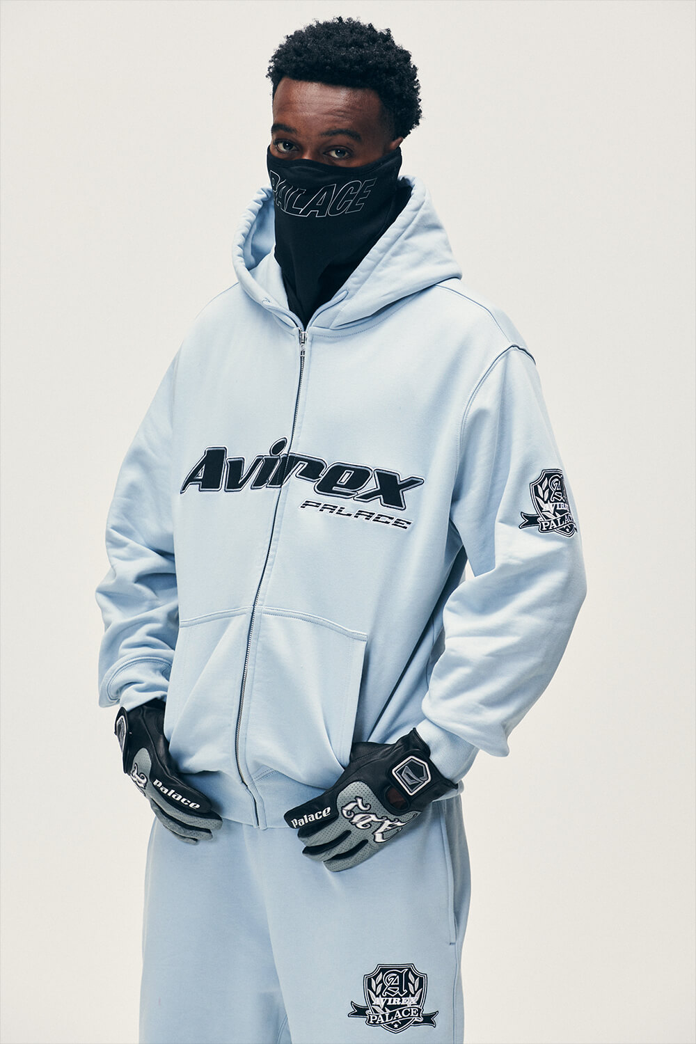 PALACE SKATEBOARDS | HOUYHNHNM（フイナム）