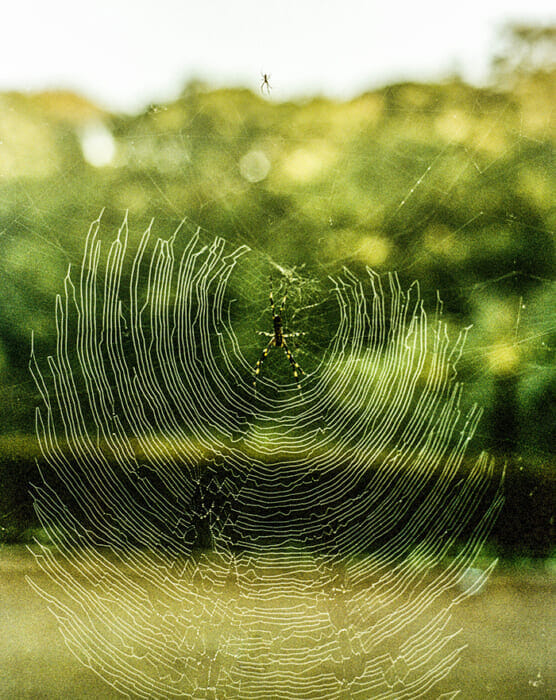 ナナミカの写真集から考察する”人間と自然の関係性”。エクスクルーシブなTシャツも登場予定です。