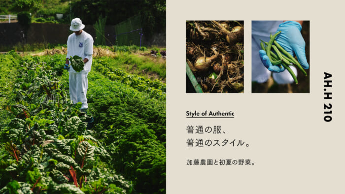 【AH.H】 Normal clothes, normal style.Case 124 Kato Farm and early summer vegetables.