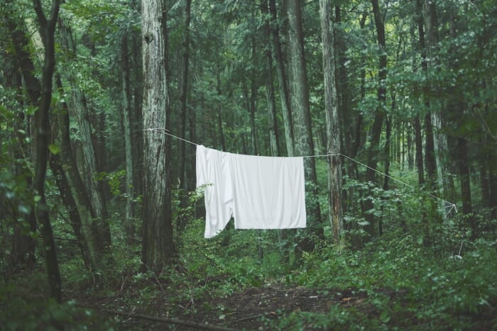 Professional-use bedding brand introduced by SANU, Kodomari Fuji, and others. A pop-up store for Shinso will be held.