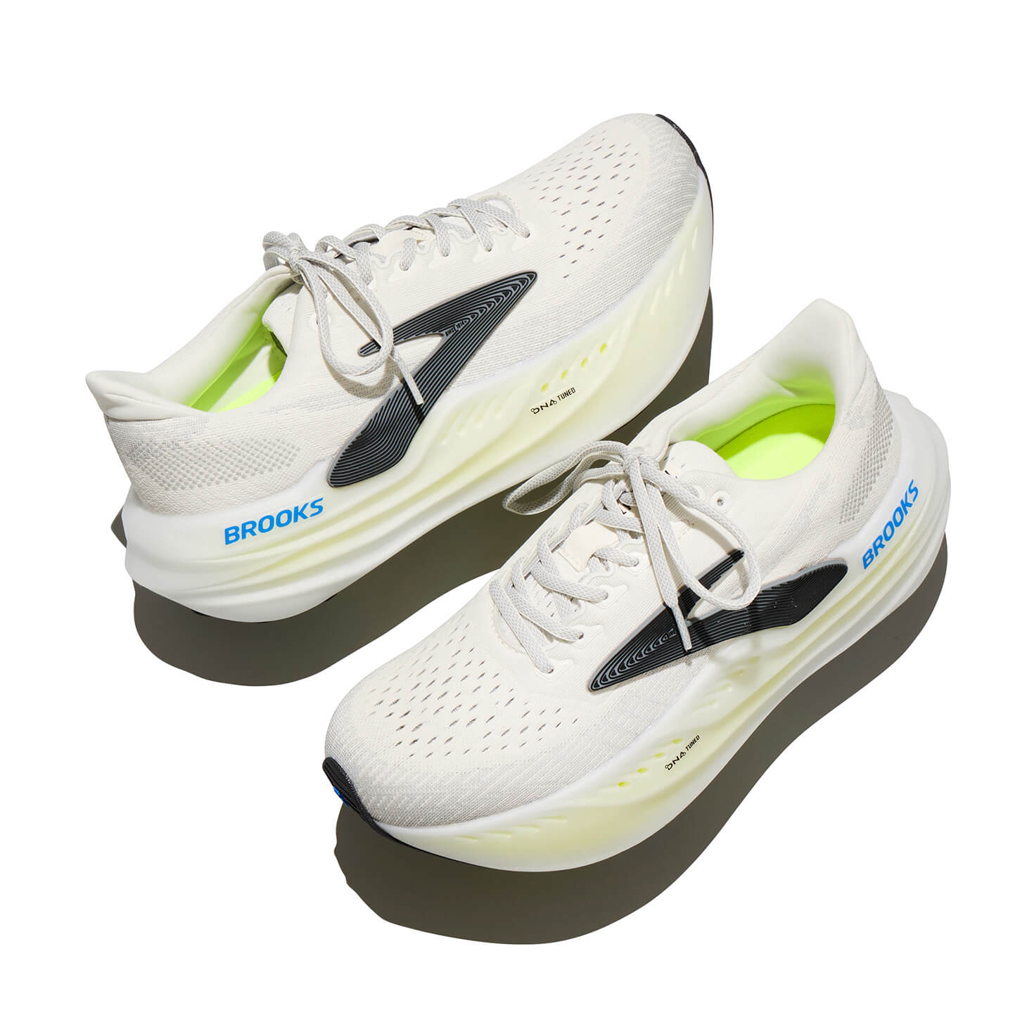 Shopping Addict 2024 Nov. 〜編集部員のお気に入り〜 前編 | feature