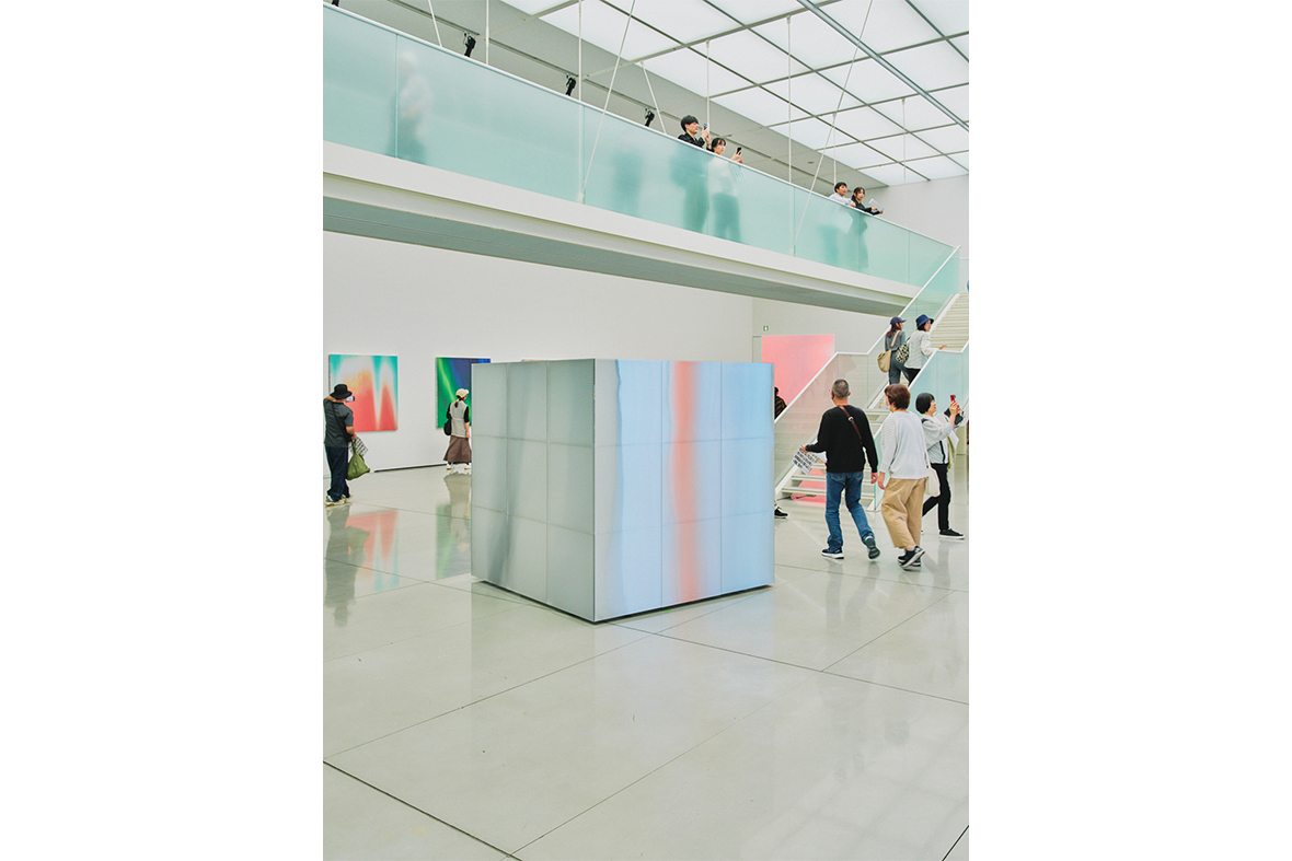 立体絵画の「温暖化で進化する、日陰のユリ」 立体絵画の「温暖化で進化する、日陰のユリ」 メーカー 温暖化で進化
