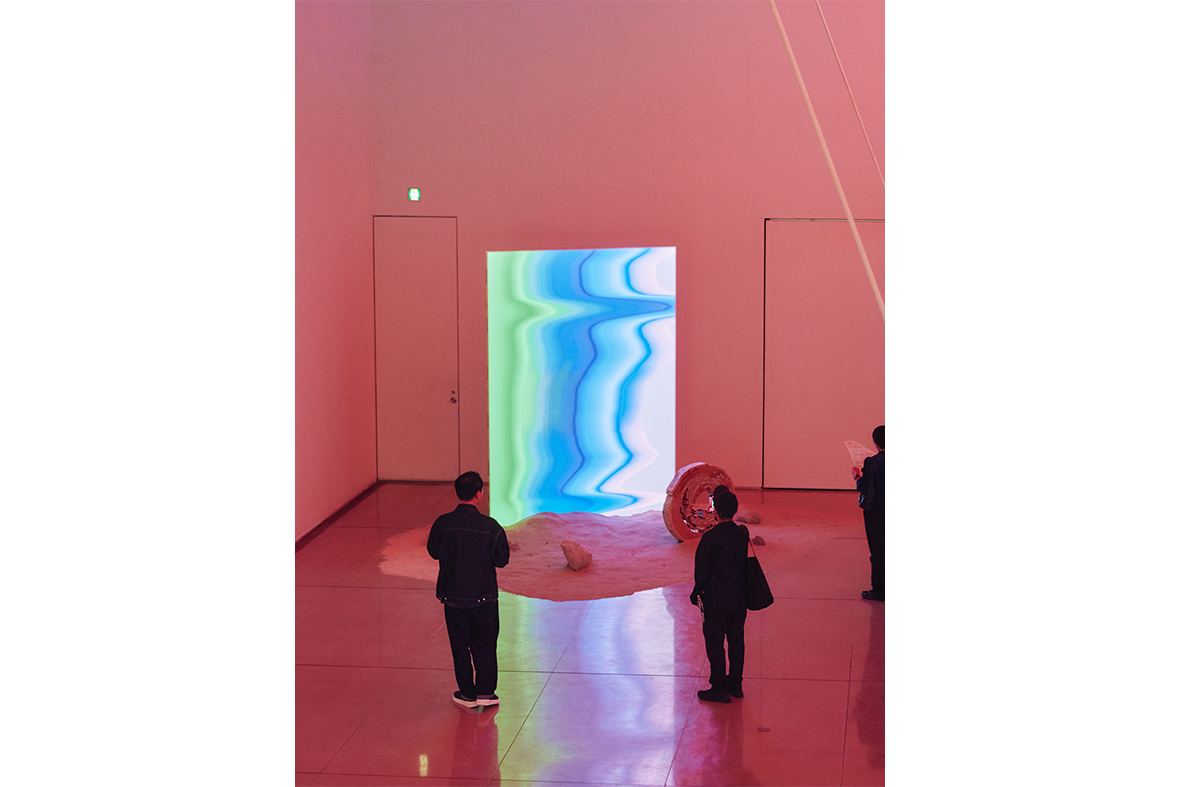 立体絵画の「温暖化で進化する、日陰のユリ」 立体絵画の「温暖化で進化する、日陰のユリ」 - メルカリ