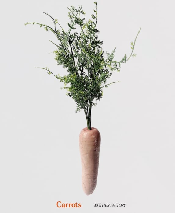 This time it's carrot x human meat! The closing party of the exhibition will be held on the last Sunday in March, when the cherry blossoms are in full bloom in Tokyo.