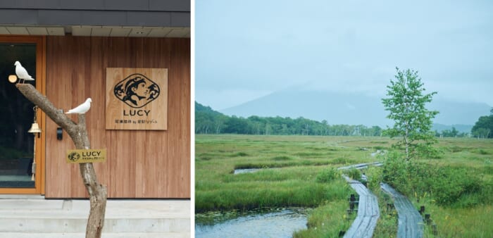 Not a mountain lodge, but a mountain hotel. For the best Oze hiking experience, go to LUCY Ozehatomachi by Hoshino Resorts.