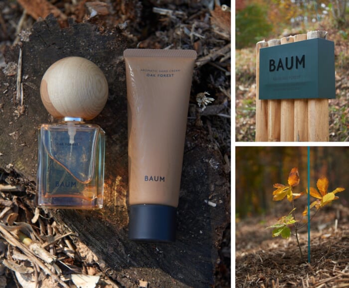 木を植える、それは未来へのバトン。植樹5年目を迎えたバウム オークの森へ。