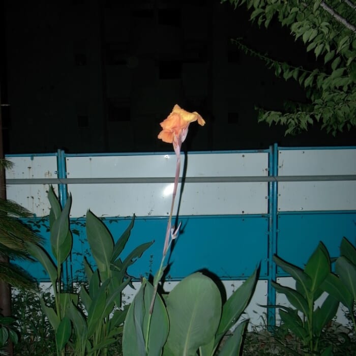 NEIとKID FRESINO。7年ぶりの邂逅となる新曲『upright』が配信リリース＆MVが公開です。