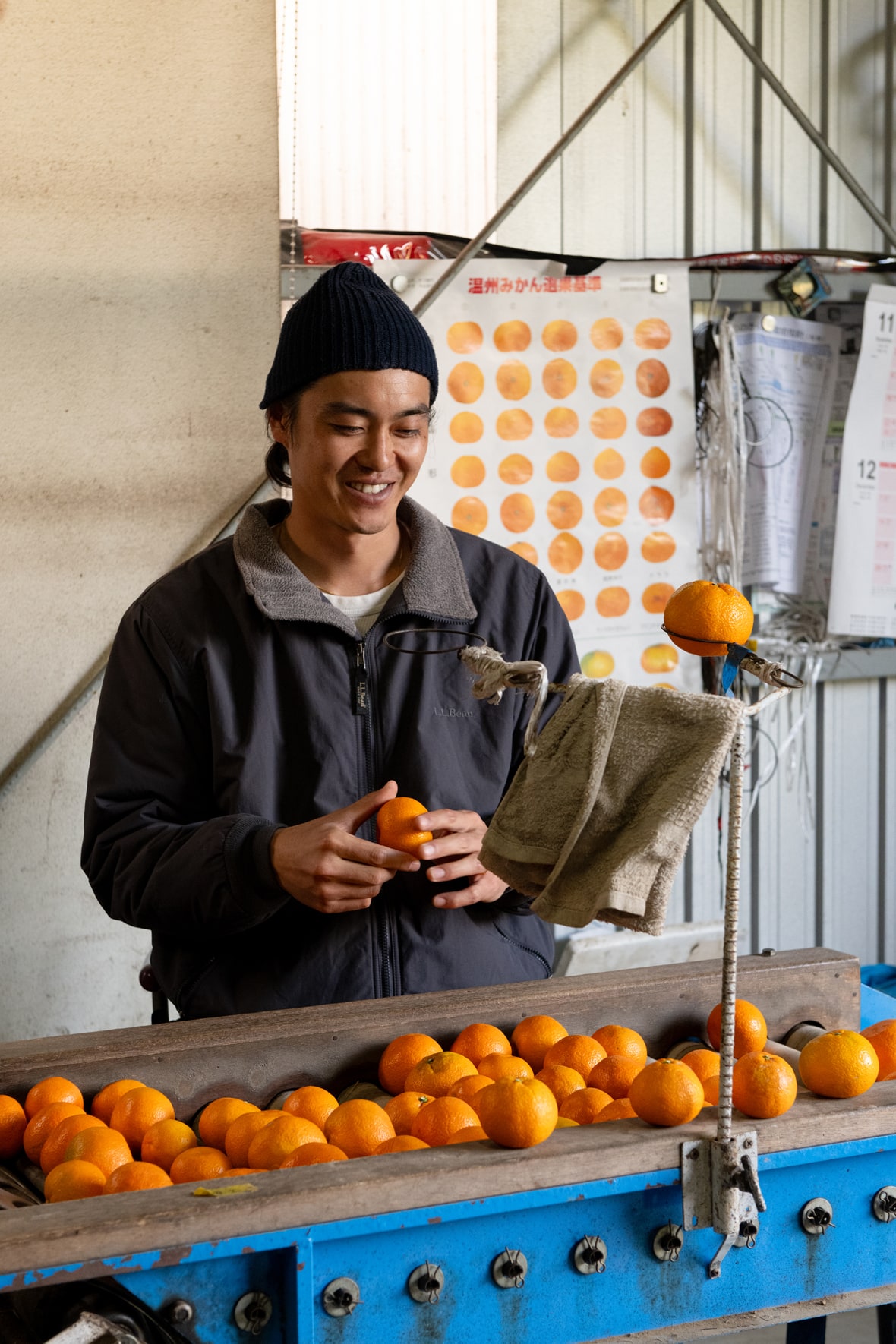 ●みかん●家具 楽天市場】徳永遊心窯 色絵 みかん 6寸鉢 : プロキッチン