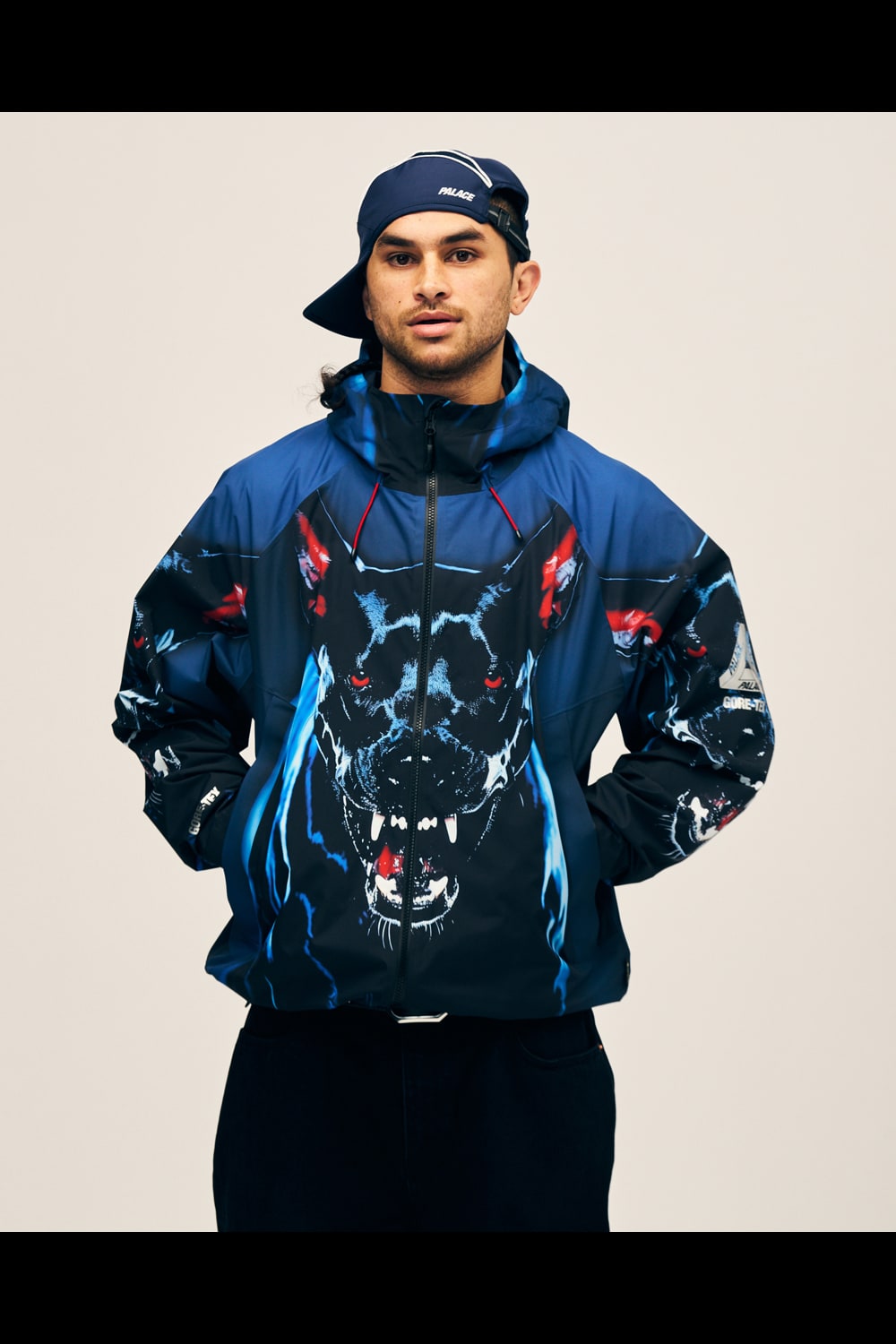 PALACE SKATEBOARDS | HOUYHNHNM (HOUYHNHNM)