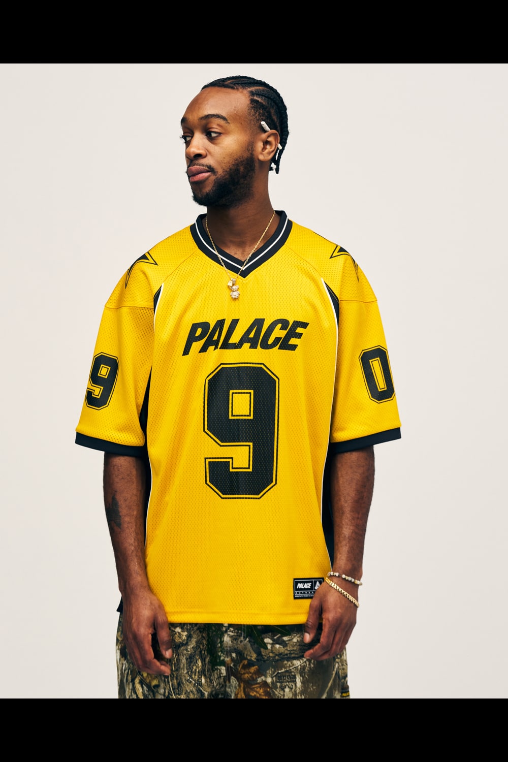 PALACE SKATEBOARDS | HOUYHNHNM（フイナム）