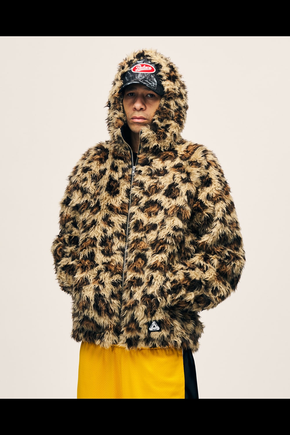 PALACE SKATEBOARDS | HOUYHNHNM（フイナム）