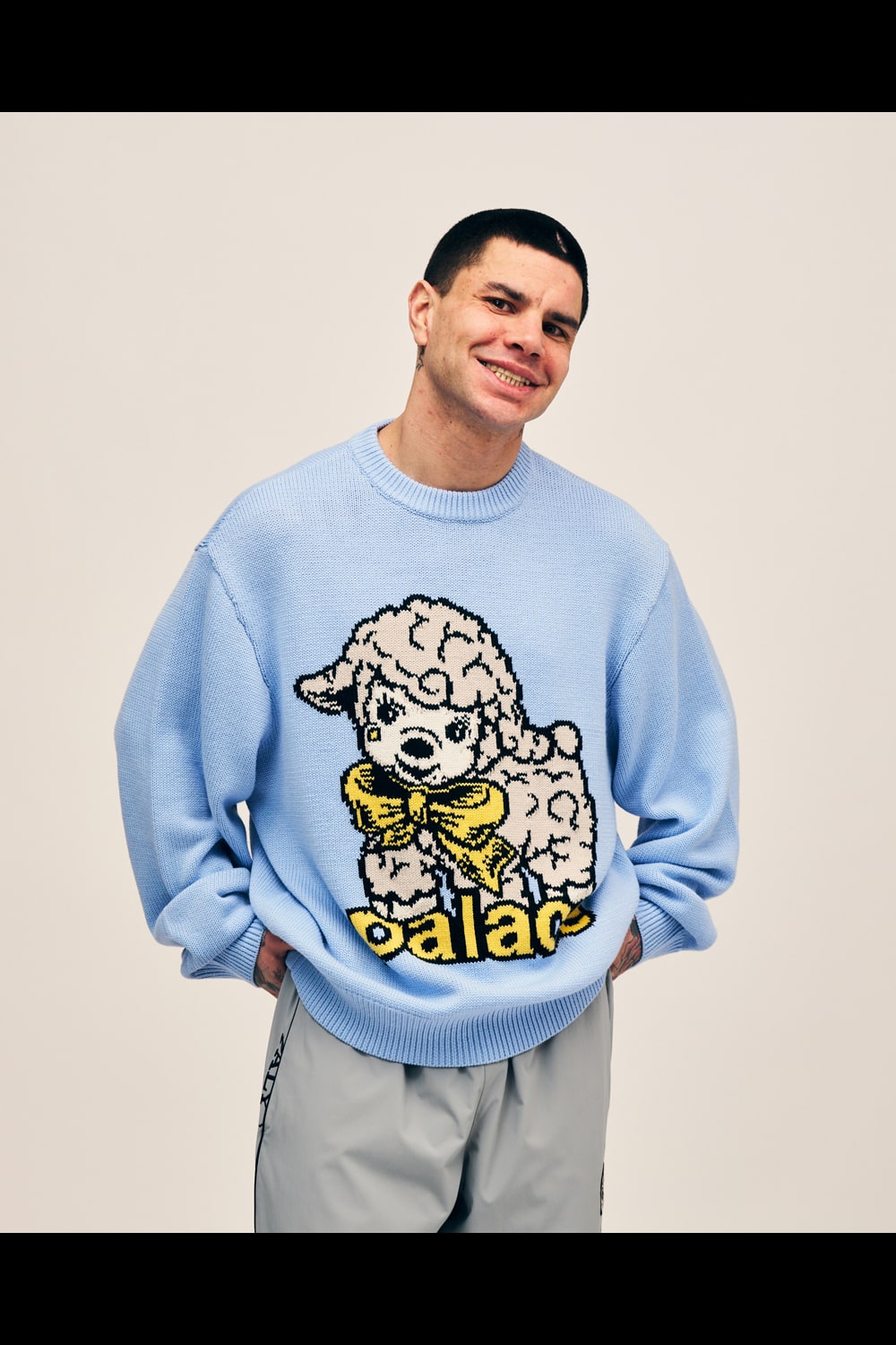 PALACE SKATEBOARDS | HOUYHNHNM（フイナム）