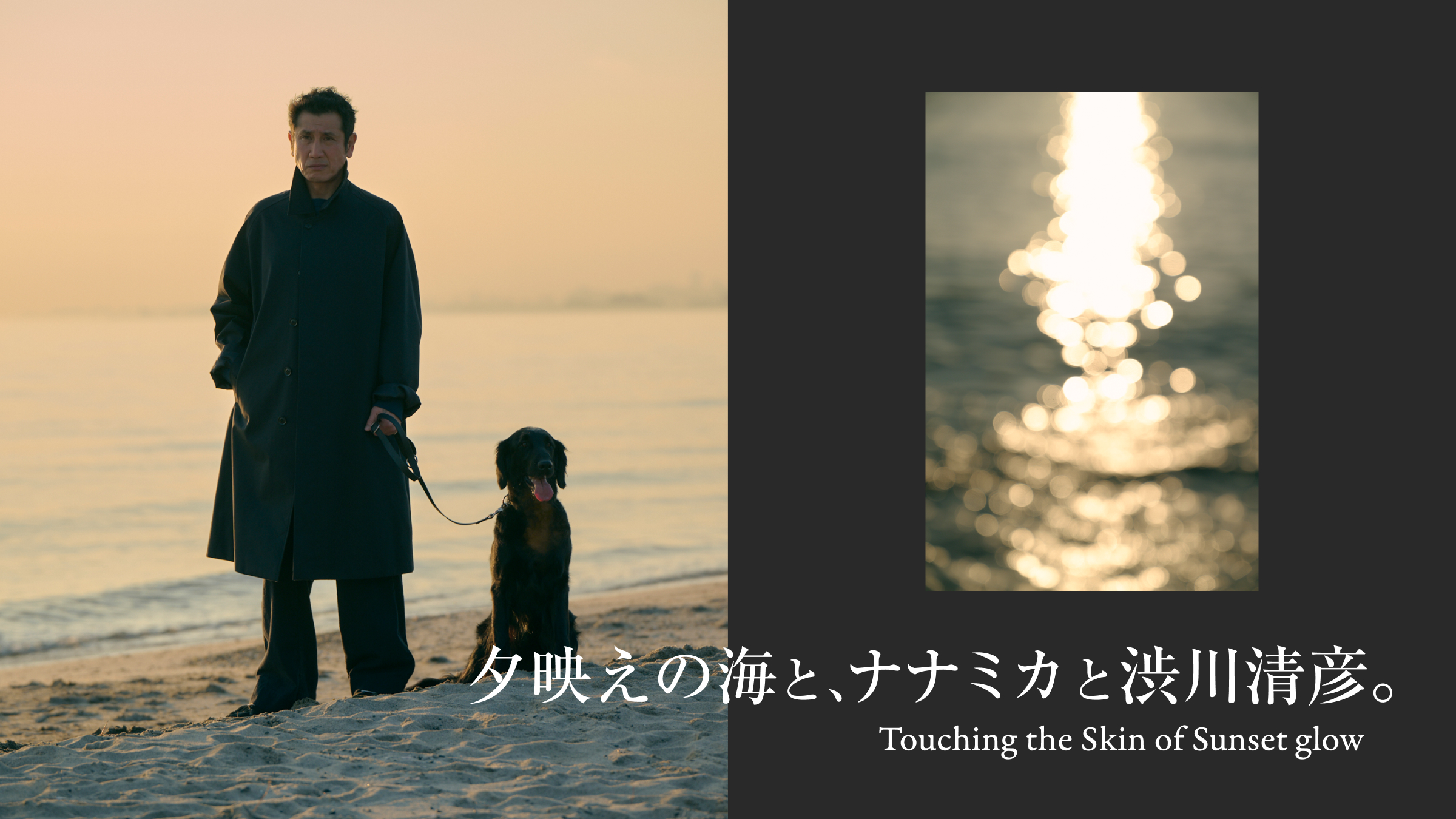 夕映えの海と、ナナミカと渋川清彦。