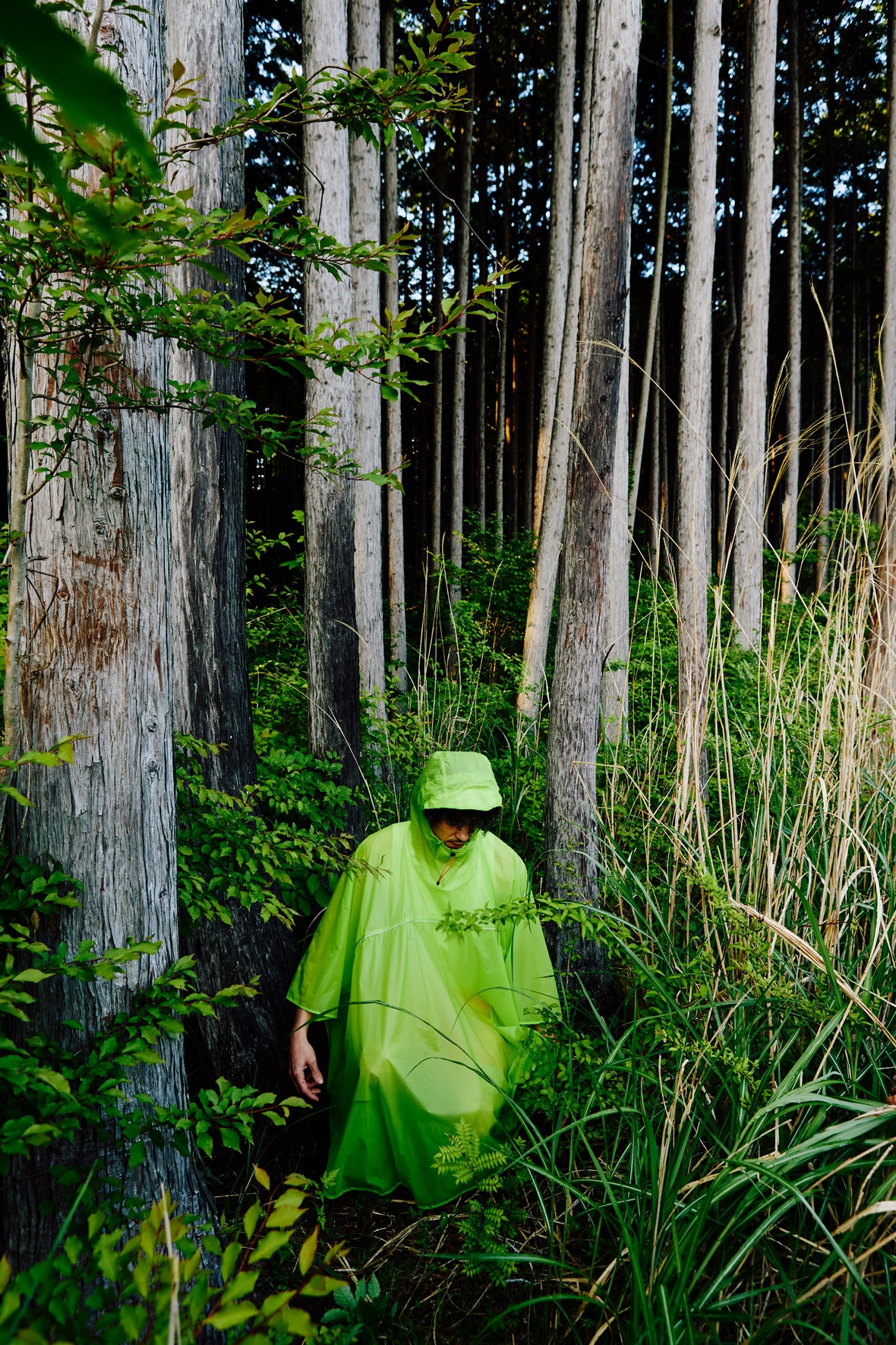 キウ様 雨の日も、そうじゃない日も。ぼくたちがキウを選ぶ理由。 | feature