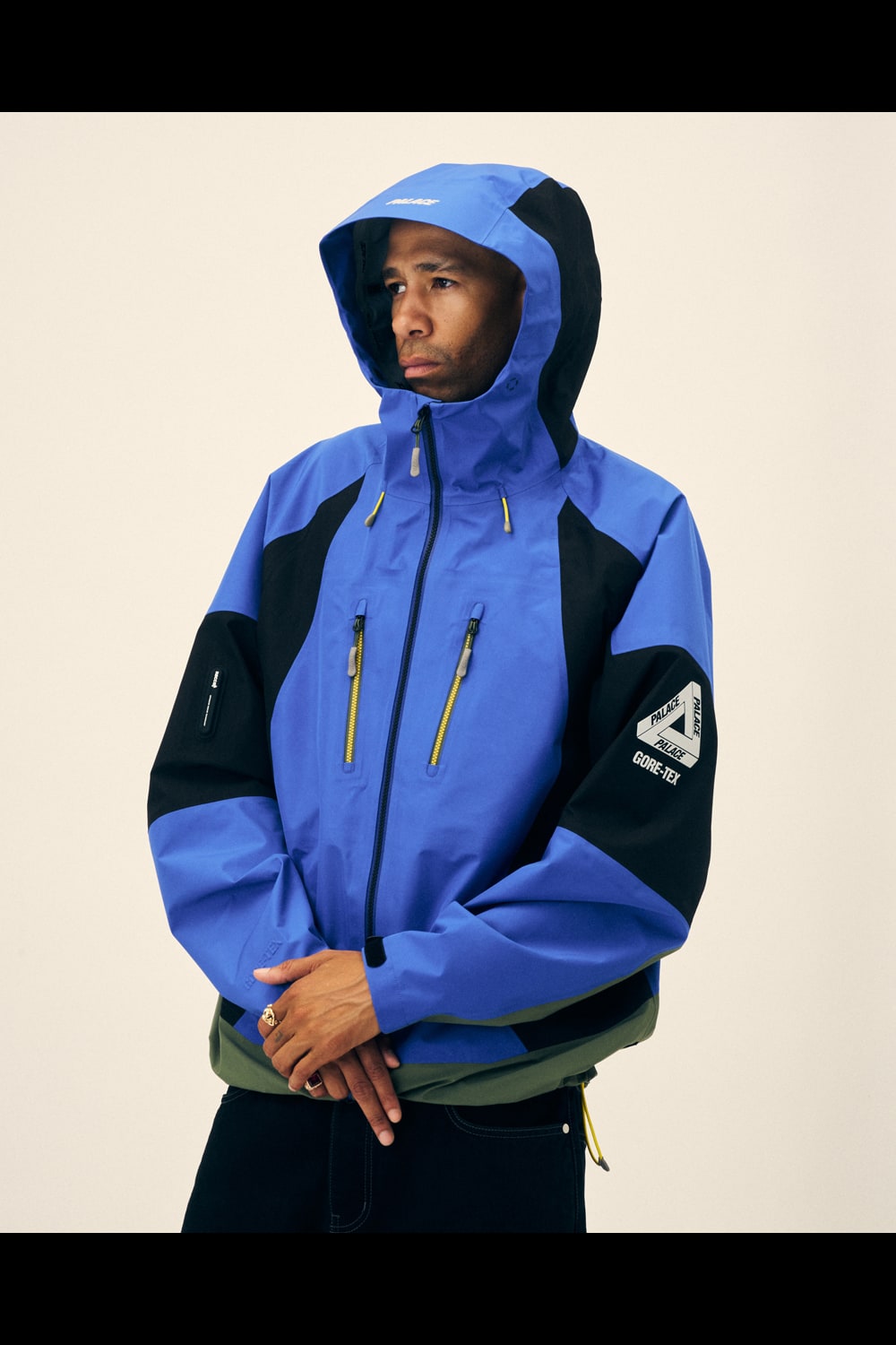 PALACE SKATEBOARDS | HOUYHNHNM (HOUYHNHNM)
